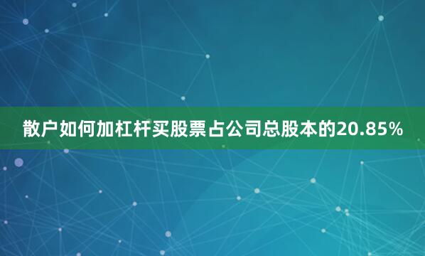 散户如何加杠杆买股票占公司总股本的20.85%